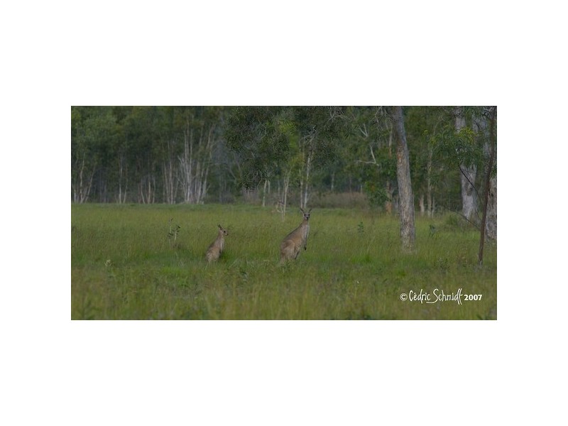 Agnes Water QLD 4677