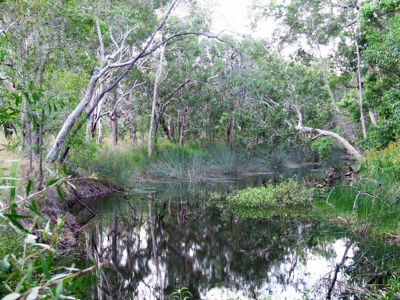 Lot 131 AVOCADO CRESCENT, Captain Creek QLD 4677