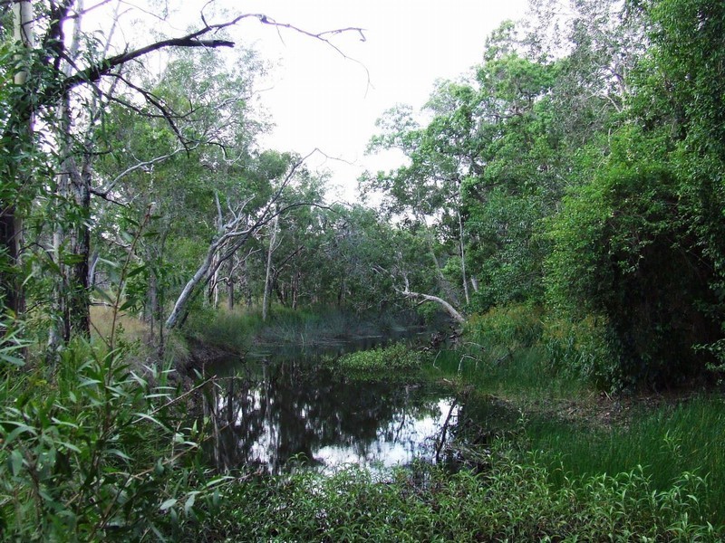 Lot 131 AVOCADO CRESCENT, Captain Creek QLD 4677