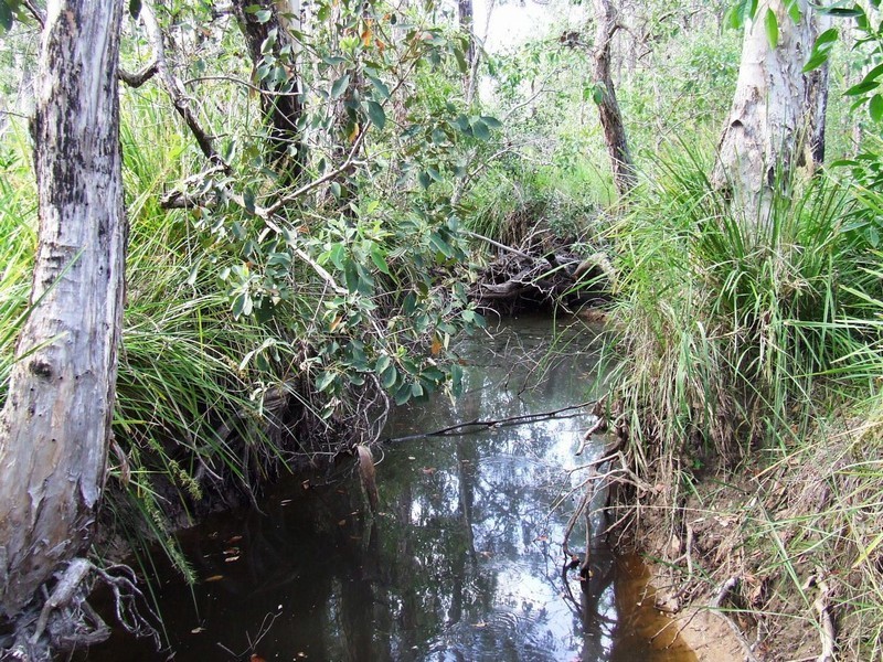 Lot 131 AVOCADO CRESCENT, Captain Creek QLD 4677