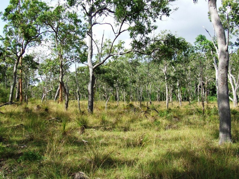 Lot 131 AVOCADO CRESCENT, Captain Creek QLD 4677