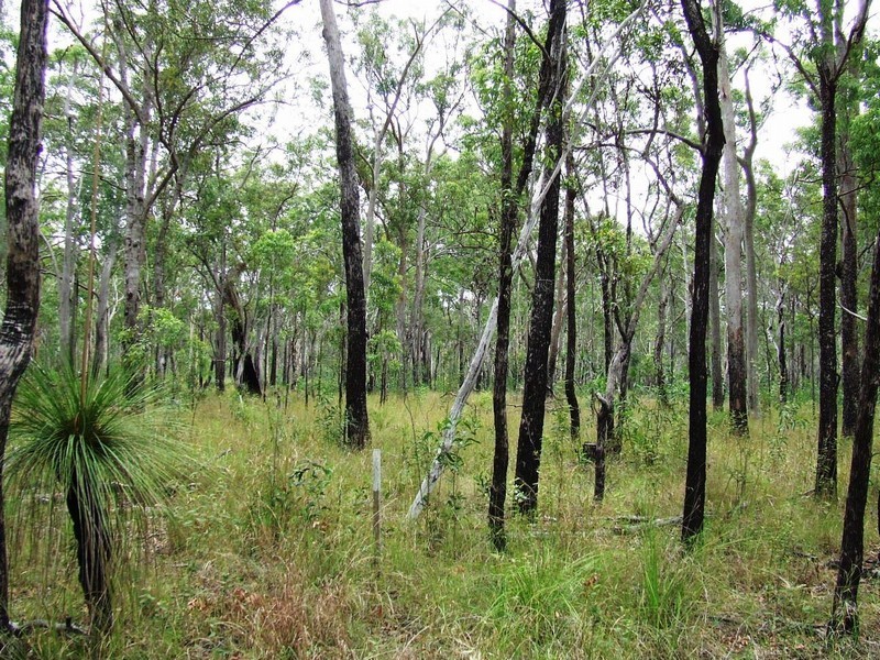 Lot 131 AVOCADO CRESCENT, Captain Creek QLD 4677