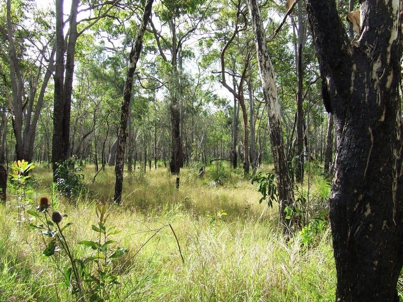 Lot 131 AVOCADO CRESCENT, Captain Creek QLD 4677