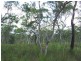 Lot 221 MURPHY RD, Captain Creek QLD 4677
