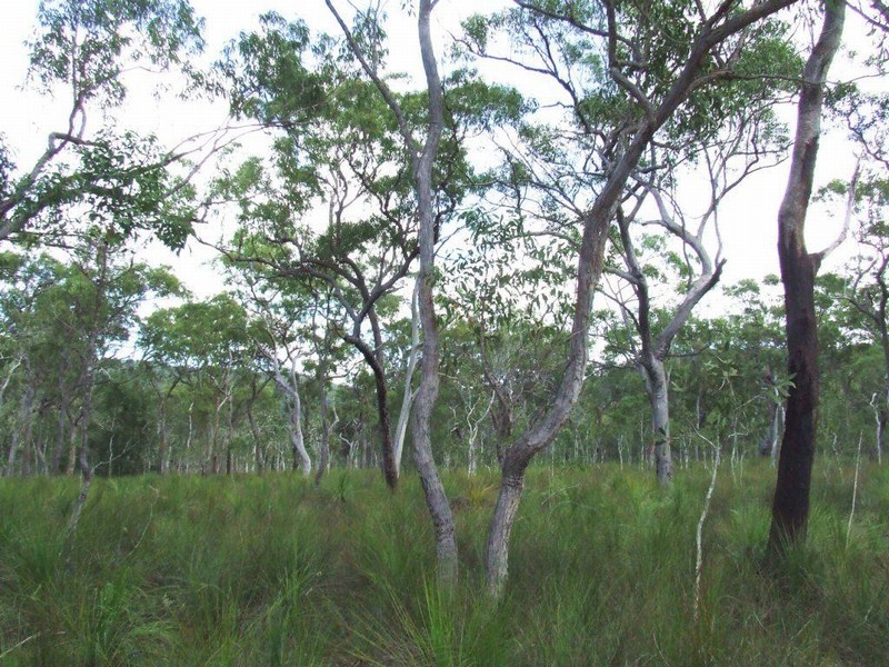 Lot 221 MURPHY RD, Captain Creek QLD 4677