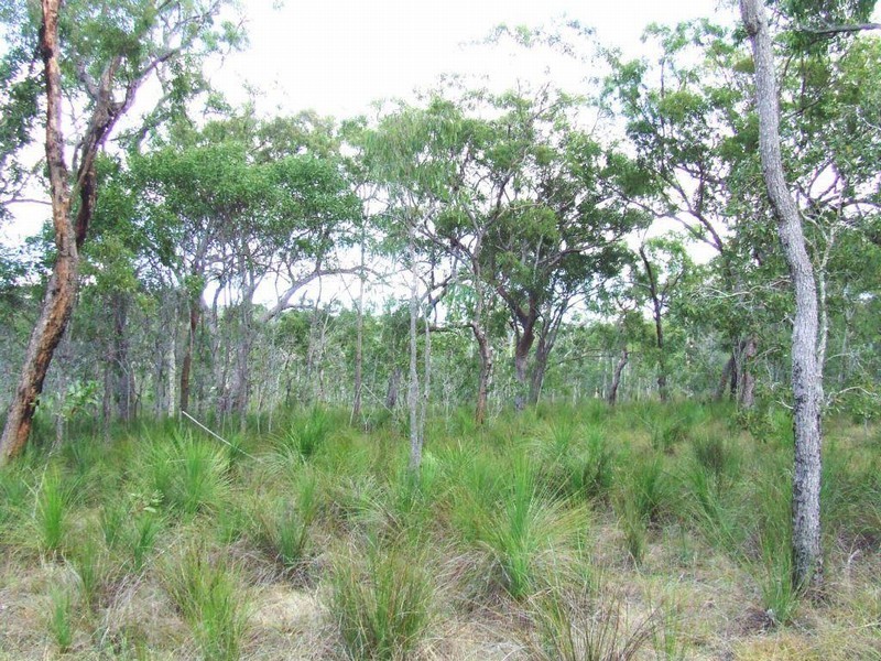 Lot 221 MURPHY RD, Captain Creek QLD 4677