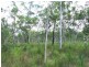 Lot 221 MURPHY RD, Captain Creek QLD 4677