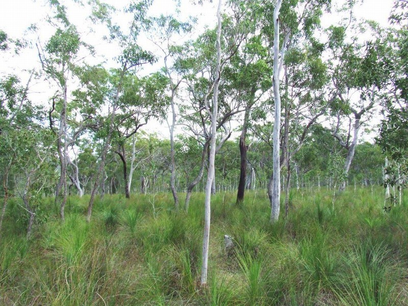 Lot 221 MURPHY RD, Captain Creek QLD 4677