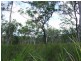 Lot 221 MURPHY RD, Captain Creek QLD 4677