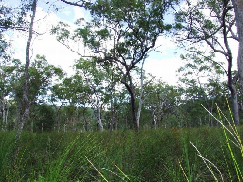 Lot 221 MURPHY RD, Captain Creek QLD 4677