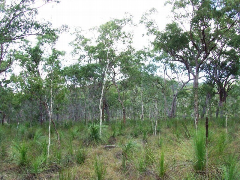 Lot 221 MURPHY RD, Captain Creek QLD 4677