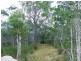 Lot 221 MURPHY RD, Captain Creek QLD 4677