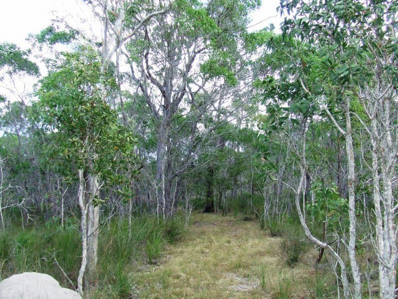 Lot 221 MURPHY RD, Captain Creek QLD 4677