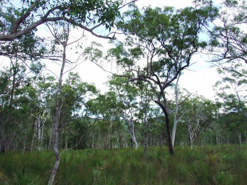 Lot 221 MURPHY RD, Captain Creek QLD 4677