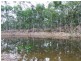 Lot 221 MURPHY RD, Captain Creek QLD 4677