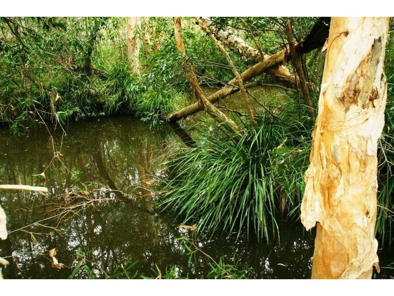 Captain Creek QLD 4677