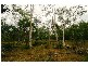 Captain Creek QLD 4677