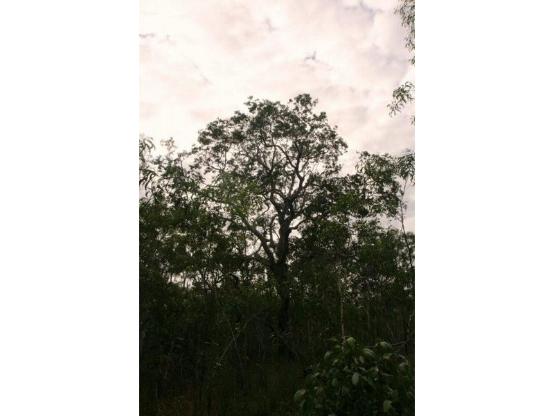 Captain Creek QLD 4677