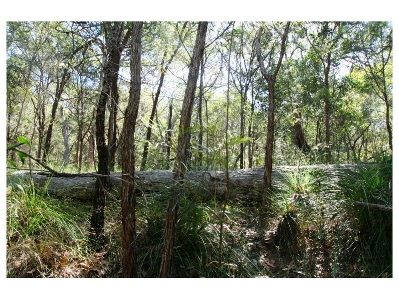 Agnes Water QLD 4677