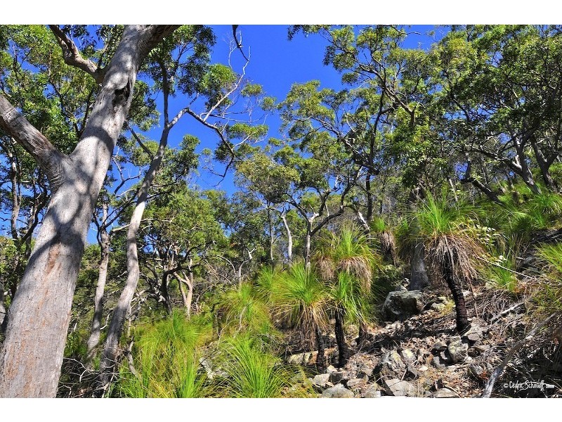 Agnes Water QLD 4677