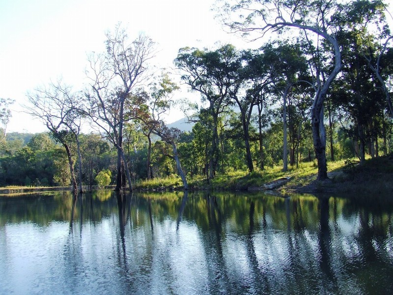 Captain Creek QLD 4677