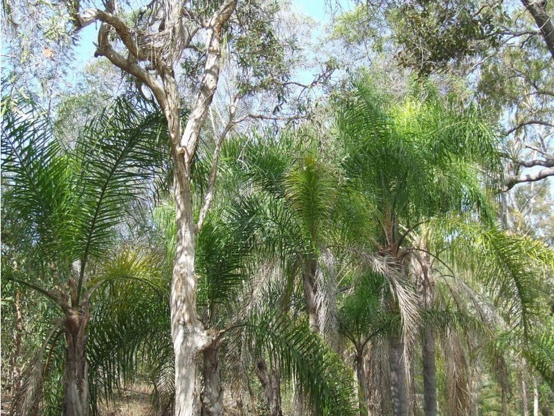 Agnes Water QLD 4677