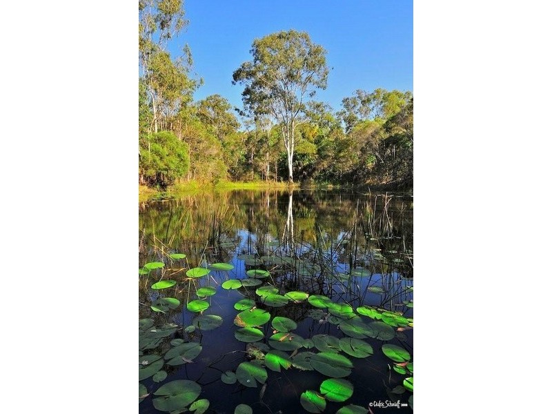 24 Mary Munro Cres, Agnes Water QLD 4677