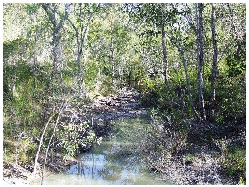 Captain Creek QLD 4677