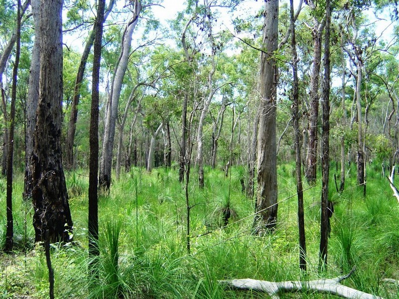 Captain Creek QLD 4677