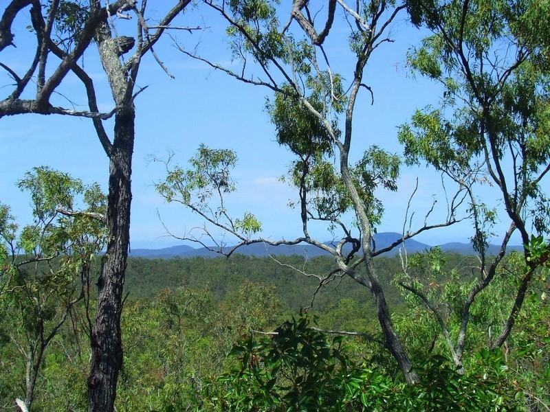Lot 4 Creevey Drive, Captain Creek QLD 4677