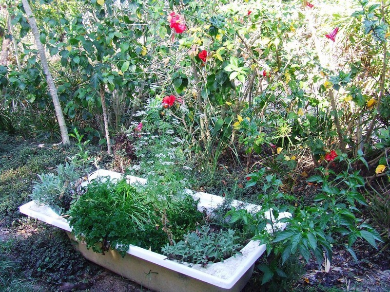 Lot 4 Creevey Drive, Captain Creek QLD 4677