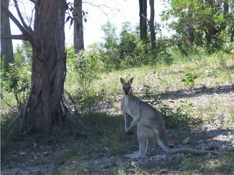 Lot 8 Woodrow Drive, Agnes Water QLD 4677