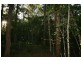 Lot 49 Dillon Road, Captain Creek QLD 4677