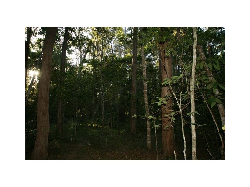 Lot 49 Dillon Road, Captain Creek QLD 4677