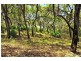 Lot 90 Springs Road, Agnes Water QLD 4677