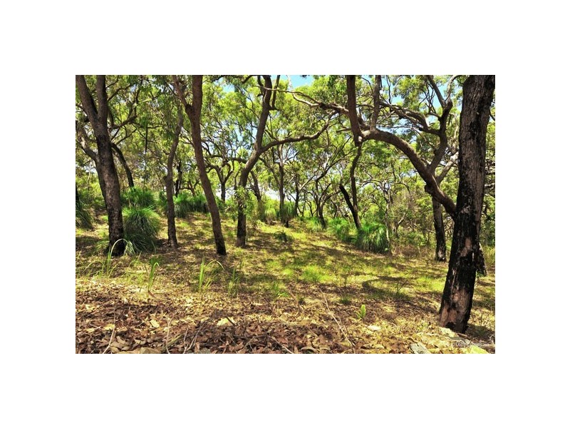 Lot 90 Springs Road, Agnes Water QLD 4677
