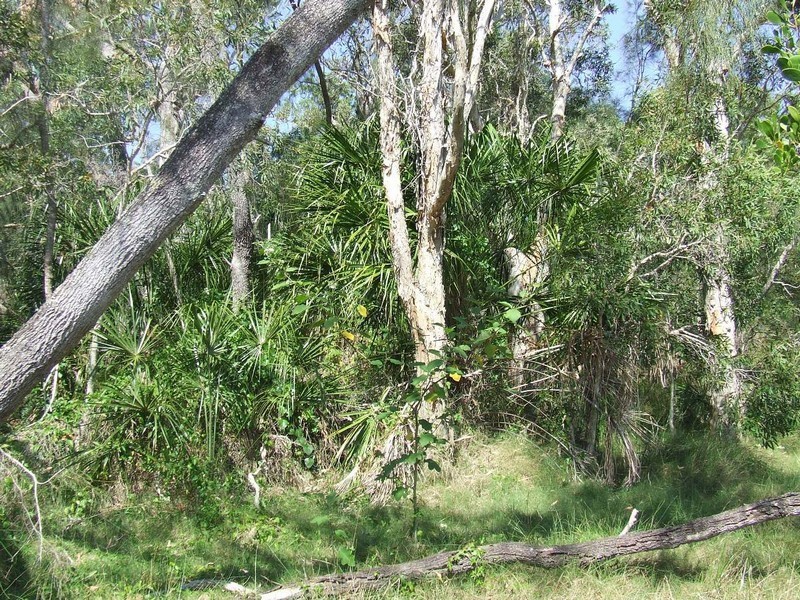 Agnes Water QLD 4677