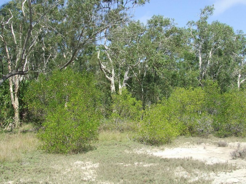 Agnes Water QLD 4677
