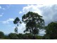 LOT 60 Pacific Court, Agnes Water QLD 4677