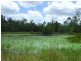 Captain Creek QLD 4677