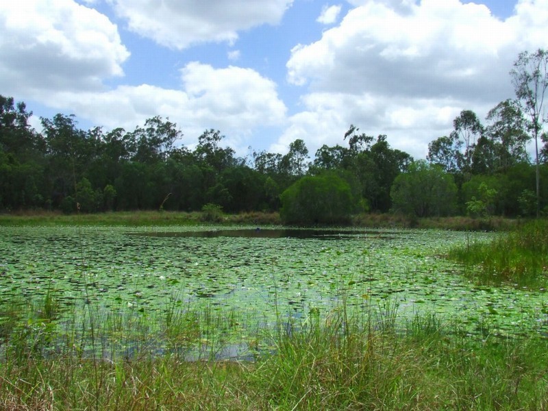 Captain Creek QLD 4677