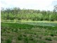 Captain Creek QLD 4677