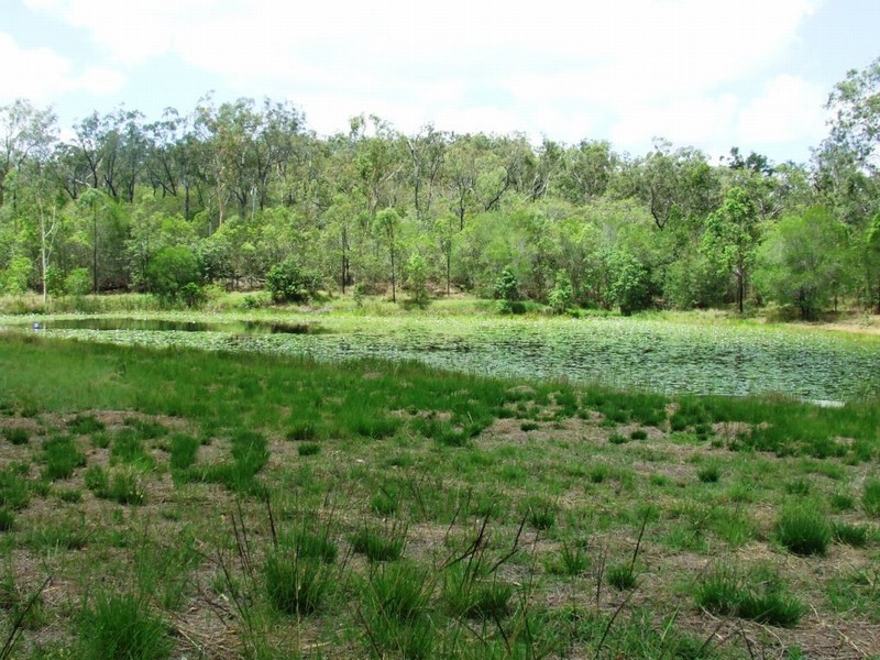 Captain Creek QLD 4677