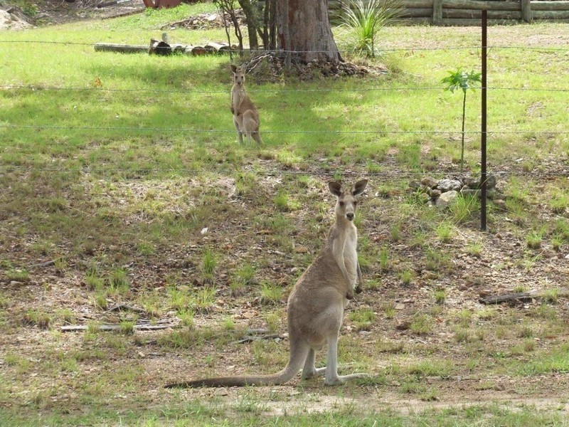 Lot 112 Bills Road, Agnes Water QLD 4677