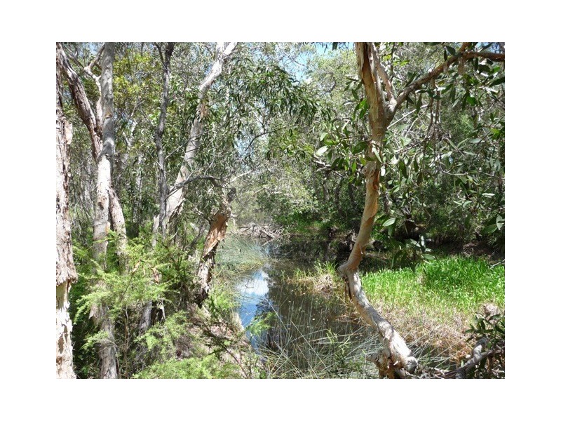 582/Lot 84 Murphy Road, Captain Creek QLD 4677