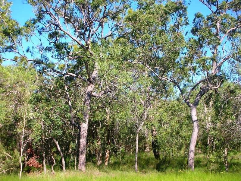 Lot 364 Streeter Drive, Agnes Water QLD 4677