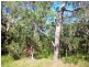 Lot 364 Streeter Drive, Agnes Water QLD 4677