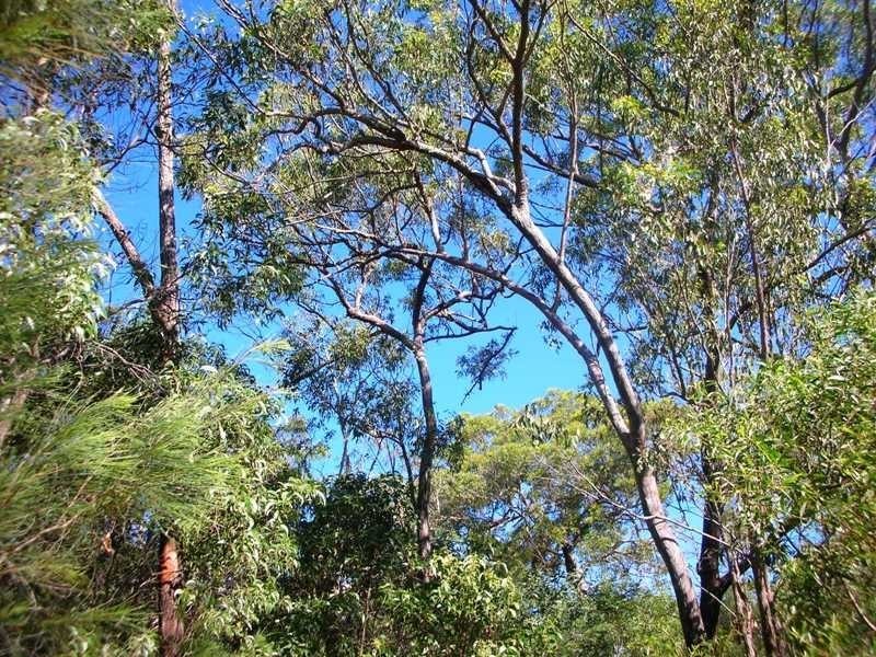 Lot 364 Streeter Drive, Agnes Water QLD 4677