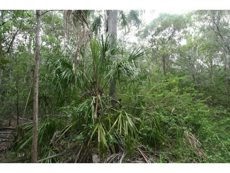 Lot 233 Innamincka Way, Agnes Water QLD 4677