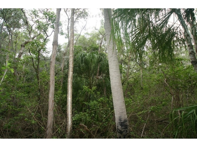 Lot 233 Innamincka Way, Agnes Water QLD 4677